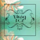 VIRÁGBOX GYŐR AJÁNDÉKCSOKROK, CSEREPES VIRÁGOK, ESKÜVŐK-RENDEZVÉNYEK TELJES KÖRŰ DEKORÁCIÓI. Virágok, virágpiac, virágküldés ban/ben Győr GS