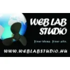 WEB LAB STUDIO