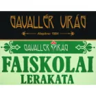 A+ AUTÓKÖLCSÖNZŐ SZALON DUNAKESZI