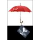 PSY-ON VÁLLALATFEJLESZTÉSI TANÁCSADÓ BT.