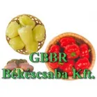 GBBR BÉKÉSCSABA KFT.