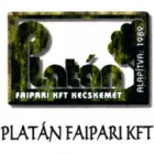 PLATÁN FAIPARI KFT.