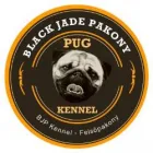 BLACK JADE PAKONY KENNEL