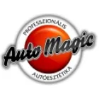 AUTO MAGIC EGER, JÉGKÁR ÉS HORPADÁS JAVÍTÓ KFT