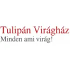 TULIPÁN VIRÁGHÁZ