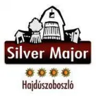 SILVER MAJOR