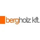 BERGHOLZ KFT.
