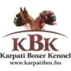 KARPATI-BOX BOXER KENNEL