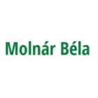 MOLNÁR BÉLA ÜVEGES