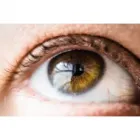 FLAMINGÓ SELYEMVIRÁG NAGYKERESKEDÉS