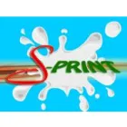 S-PRINT