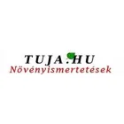 WIANDT DÍSZFAISKOLA BT.