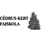 MATRAC ÉS ÁGYKERET SZAKÜZLET, WEBÁRUHÁZ